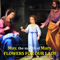 MAY, THE MONTH OF MARY. FLOWERS FOR OUR LADY. Summary vid + full text.
